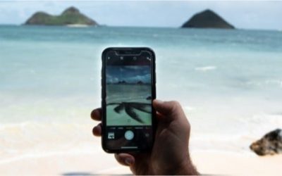 Caribbean Countries Unite to Digitize Judicial Processes